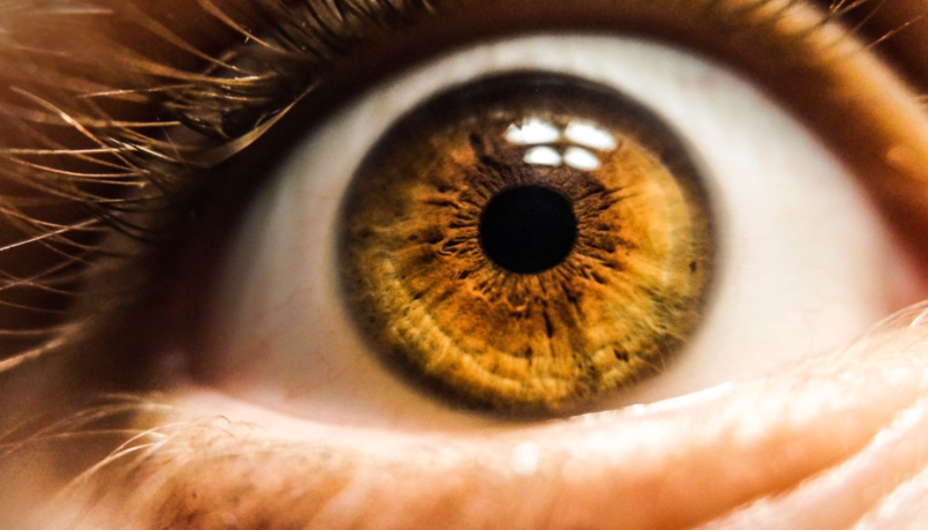 close-up of an eye